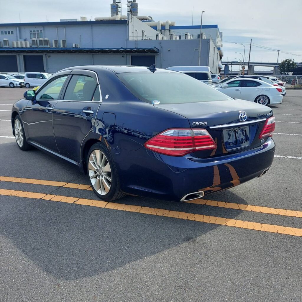 325023_CROWN HYBRID GWS204
